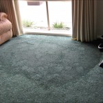 Flooded Carpet