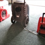 Dehumidifier and Air Movers supplied and installed